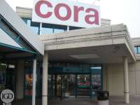 cora