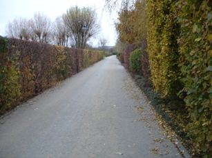 scieżka rowerowo-spacerowa