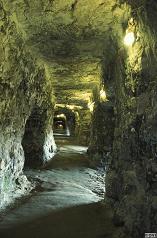 [Rozmiar: 17079 bajtów]