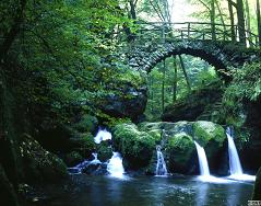 [Rozmiar: 23445 bajtów]