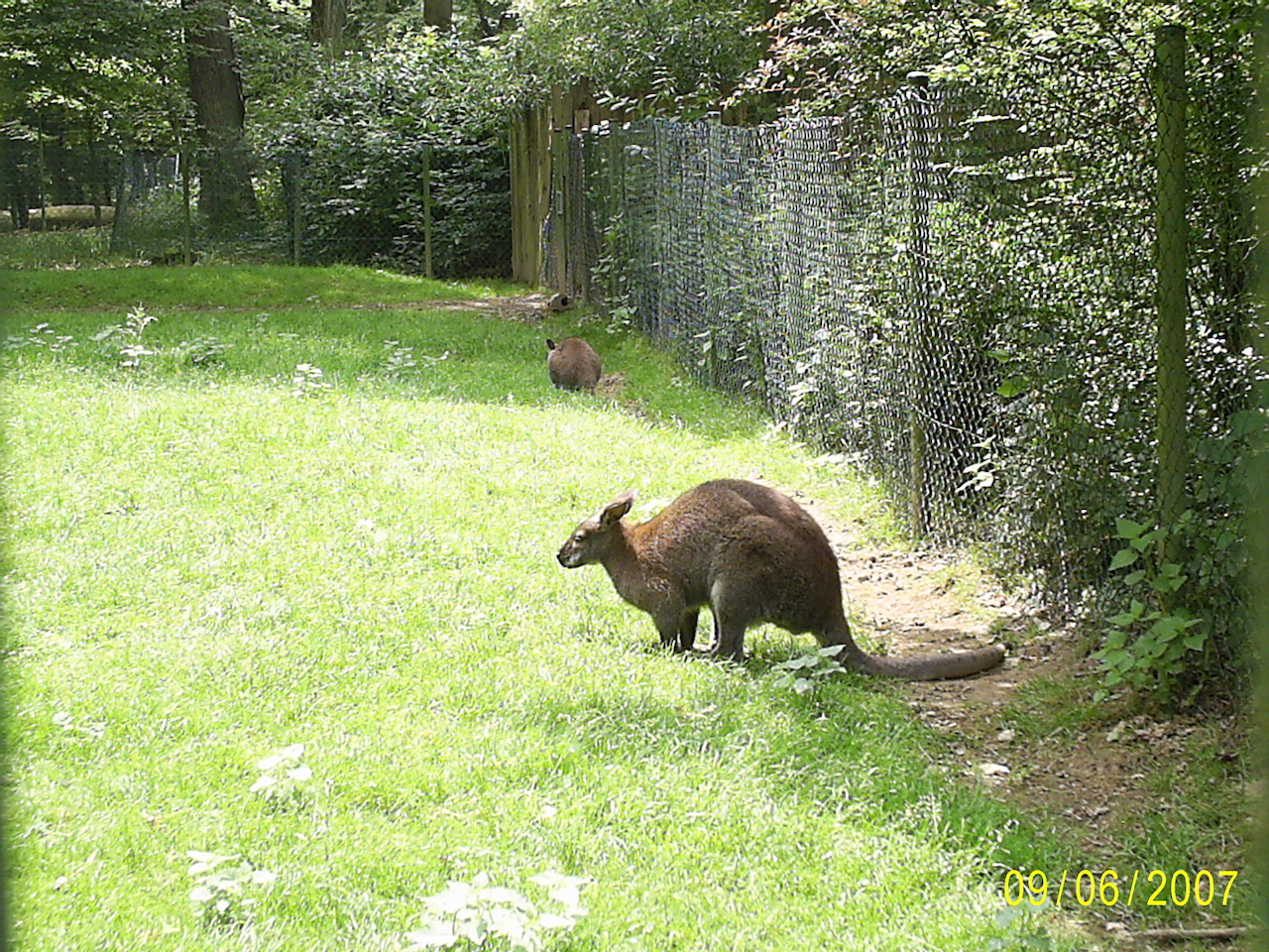 bettemburg zoo