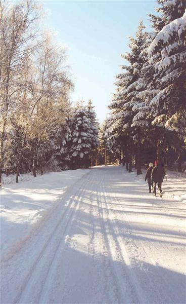 Otwarto narciarskie trasy biegowe